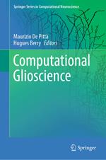 Computational Glioscience