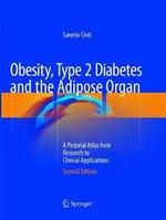 Obesity, Type 2 Diabetes and the Adipose Organ: A Pictorial Atlas from Research to Clinical Applications