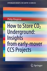 How to Store CO2 Underground: Insights from early-mover CCS Projects