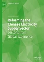 Reforming the Chinese Electricity Supply Sector