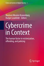 Cybercrime in Context