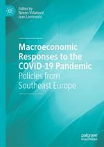 Macroeconomic Responses to the COVID-19 Pandemic