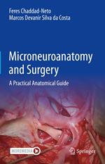 Microneuroanatomy and Surgery