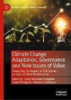 Climate Change Adaptation, Governance and New Issues of Value: Measuring the Impact of ESG Scores on CoE and Firm Performance