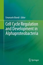 Cell Cycle Regulation and Development in Alphaproteobacteria