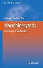 Macropinocytosis