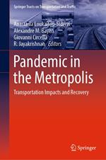 Pandemic in the Metropolis