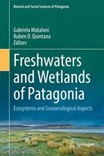 Freshwaters and Wetlands of Patagonia