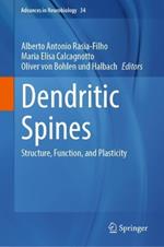 Dendritic Spines: Structure, Function, and Plasticity