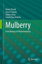 Mulberry