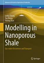 Modelling in Nanoporous Shale