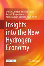 Insights into the New Hydrogen Economy