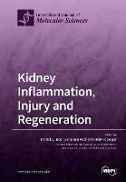 Kidney Inflammation, Injury and Regeneration