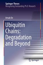 Ubiquitin Chains: Degradation and Beyond