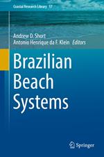 Brazilian Beach Systems