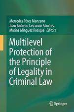 Multilevel Protection of the Principle of Legality in Criminal Law