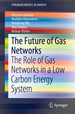 The Future of Gas Networks