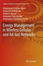 Energy Management in Wireless Cellular and Ad-hoc Networks