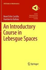 An Introductory Course in Lebesgue Spaces