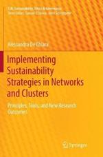 Implementing Sustainability Strategies in Networks and Clusters: Principles, Tools, and New Research Outcomes
