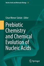 Prebiotic Chemistry and Chemical Evolution of Nucleic Acids