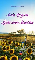 Mein Weg im Licht eines Meisters