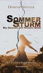 Sommersturm - Das Geheimnis von Haywood Grove: Der zweite Fall für Barry Monroe