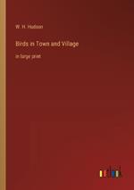 Birds in Town and Village: in large print