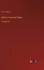Birds in Town and Village: in large print