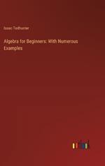 Algebra for Beginners: With Numerous Examples