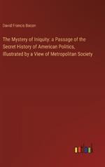 The Mystery of Iniquity: a Passage of the Secret History of American Politics, Illustrated by a View of Metropolitan Society