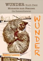 WUNDER / Momente zum Staunen - Buch Zwei / Die Katzenflüsterer