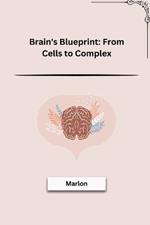 Brain's Blueprint: From Cells to Complex