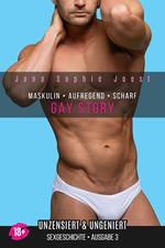 Gay Story - Ausgabe 3