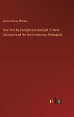 New York by Sunlight and Gaslight. A Work Descriptive of the Great American Metropolis