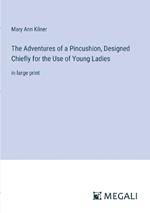 The Adventures of a Pincushion, Designed Chiefly for the Use of Young Ladies: in large print