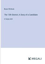 The 13th District; A Story of a Candidate: in large print
