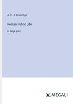 Roman Public Life: in large print