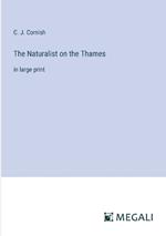 The Naturalist on the Thames: in large print