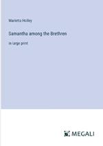 Samantha among the Brethren: in large print