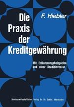 Die Praxis der Kreditgewährung: Mit Erläuterungsbeispielen und einer Kreditinventur