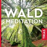 Waldmeditation