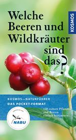 Welche Beeren und Wildkräuter sind das?