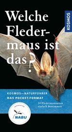 Welche Fledermaus ist das?