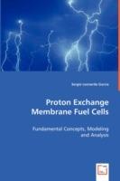 Proton Exchange Membrane Fuel Cells