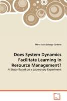 Does System Dynamics Facilitate Learning in Resource Management