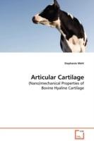 Articular Cartilage