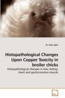 Histopathological Changes Upon Copper Toxicity in broiler chicks