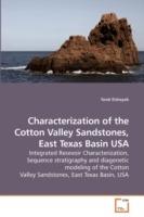 Characterization of the Cotton Valley Sandstones, East Texas Basin USA