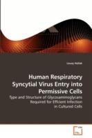 Human Respiratory Syncytial Virus Entry into Permissive Cells